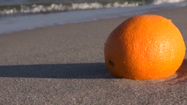 Uma laranja iluminada pelo sol junto ao mar — Vídeo de Stock