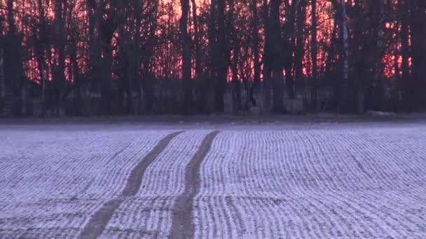 Затемнение сельскохозяйственных полей зимой — стоковое видео