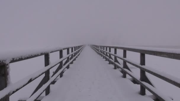 Зимовий день пейзаж зі сніговим мостом — стокове відео