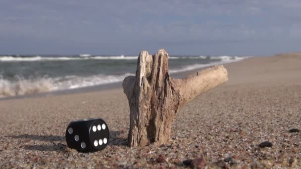 Suerte dados negros y trozo de madera en la arena por el mar — Vídeo de stock