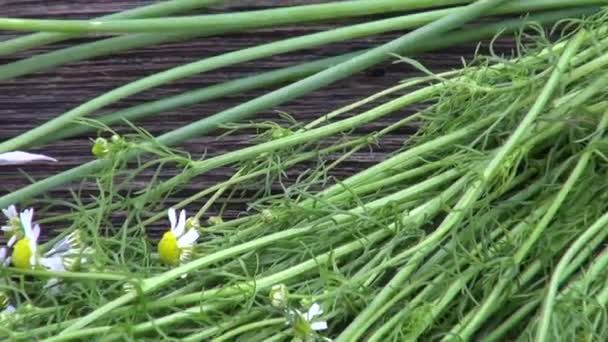 Blühende Kräuter auf hölzernem Hintergrund — Stockvideo