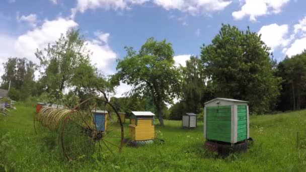 Bienenkorbgruppe aus Holz und alter rostiger Pferdeharke im Bauerngarten. Zeitraffer 4k — Stockvideo