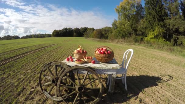 Cestas de manzana en la mesa vieja en el campo de otoño y el movimiento de las nubes. Timelapse 4K — Vídeo de stock