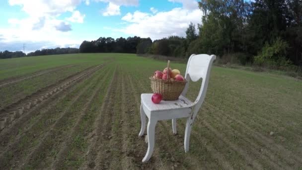 Silla de madera antigua blanca en el campo y canasta de mimbre de frutas de manzana completa. Timelapse 4K — Vídeo de stock