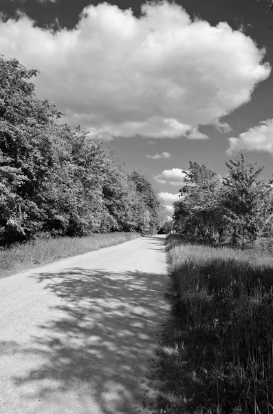Paisaje blanco y negro con un camino en un día soleado y nublado — Foto de Stock