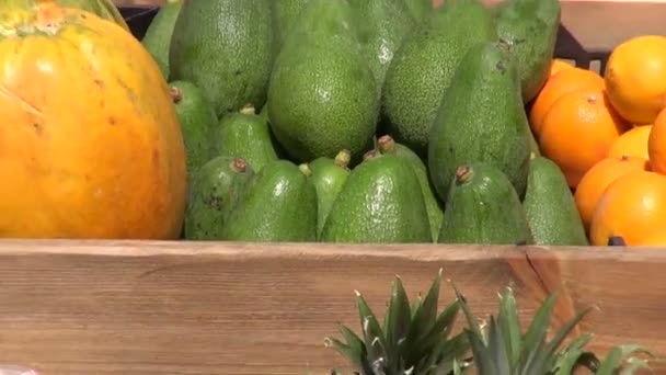 Frutas, legumes e cogumelos frescos no mercado espanhol — Vídeo de Stock