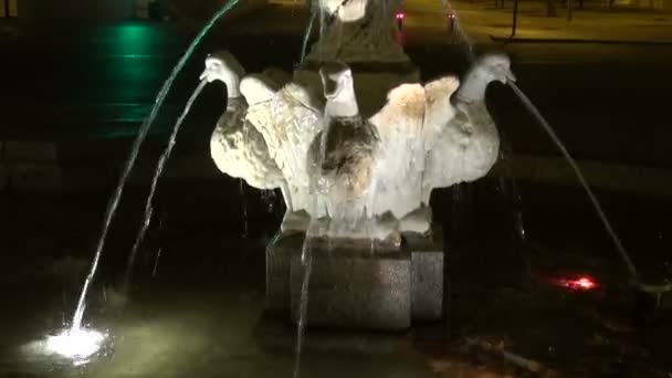 Antieke marmeren fontein vogels bij nacht en water splash — Stockvideo