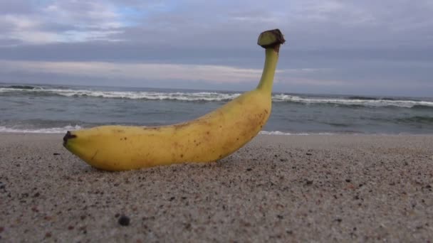 Fruta de banana na praia da estância marítima na areia — Vídeo de Stock
