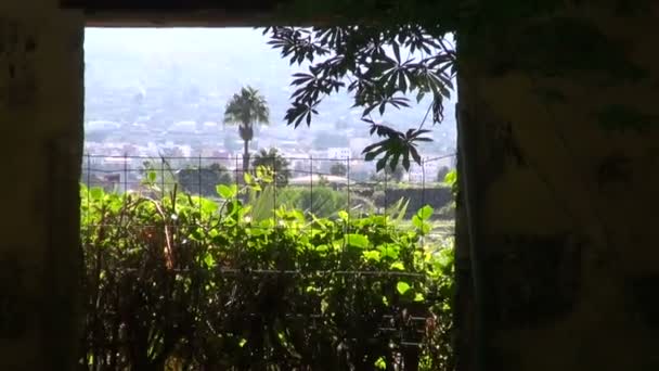 Panorama de ciudad trópica a través de ventana en pared antigua — Vídeo de stock