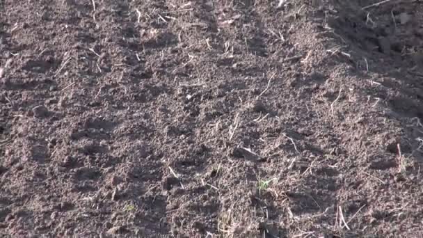 Свежевспаханная сельскохозяйственная глинистая почва и сельская дорога — стоковое видео