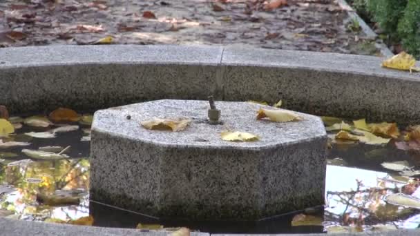 Brunnen im botanischen Garten im Herbst — Stockvideo