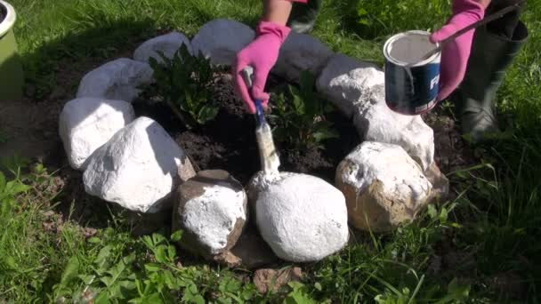 Man gardener painting stones white placed around flower bed — Stock Video