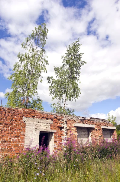 Woest Frontal en vensterloze bakstenen huis ruïnes — Stockfoto