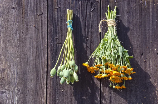 Paquetes de hierbas frescas colgadas para secar en una pared de madera — Foto de Stock