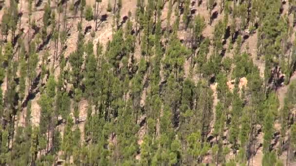 Paysage dans le parc national Teide à Tenerife 