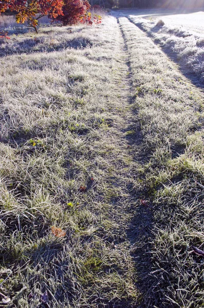 Buzlu çim ile kırsal yol — Stok fotoğraf