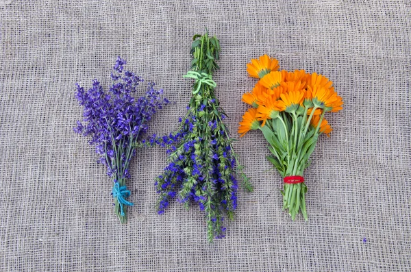 Bundles of freshly picked herbs placed on linen background — Stock Photo, Image