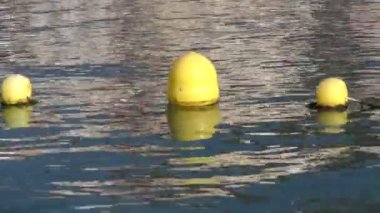 Su üzerinde sarı floaters