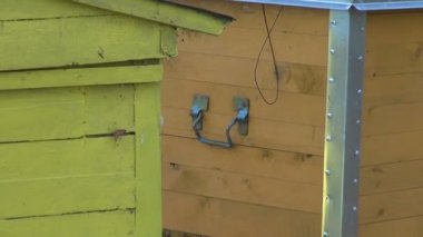 Ormanın içinde renkli kuş Yuvaları