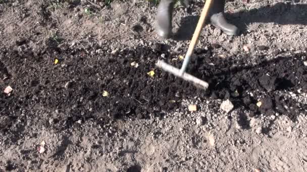 Ο άνθρωπος βελτιώνοντας το χώμα αργίλου με τύρφη — Αρχείο Βίντεο