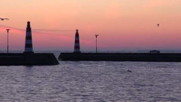 Hamn med båtar på morgonen — Stockvideo