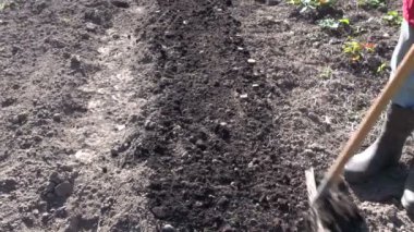 Siyah kauçuk giymiş bahçıvan yan yatan toprak çizme