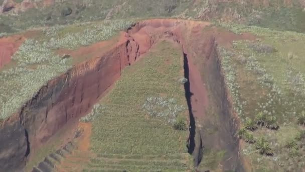 Paisagem de montanha através dos arbustos — Vídeo de Stock