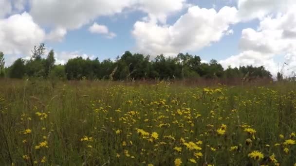 Nuvens correndo sobre o prado, lapso de tempo 4K — Vídeo de Stock