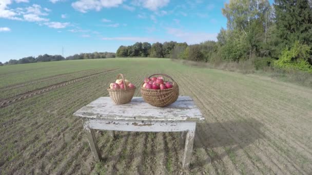Яблоки в двух плетеных корзинах помещены на белый деревянный стол осенью на пшеничном поле, время истекает 4K — стоковое видео