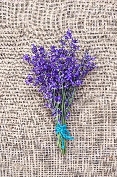 Bunch of violet lavender tied with string — Stock Photo, Image