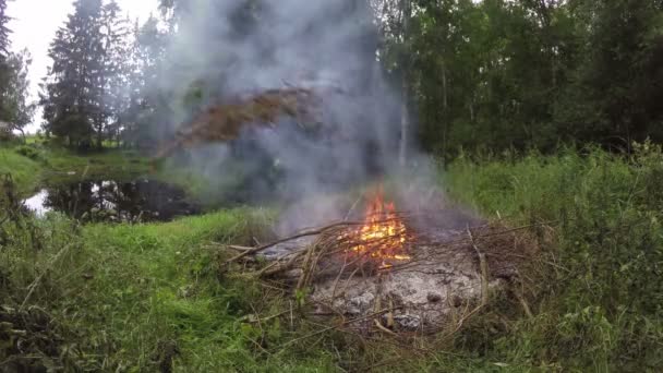 Ognisko, pieczenie na zewnątrz, nad stawem, 4k — Wideo stockowe