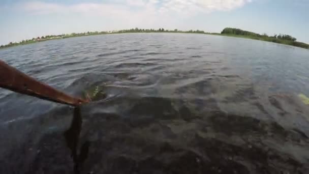 Zobacz łódź wiosłował na jeziorze, 4k — Wideo stockowe