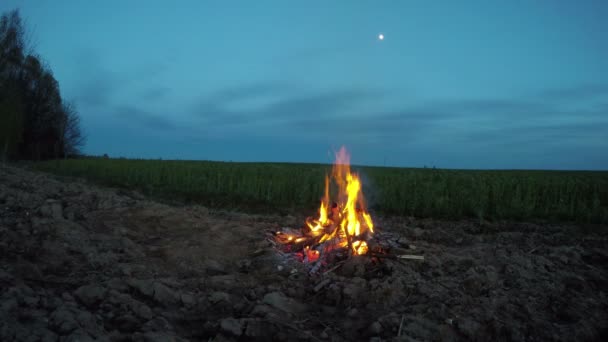 Bonfire burning outdoors by the field, 4K — Stock Video