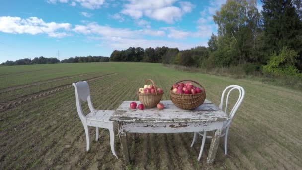 Mesa com maçãs, duas cadeiras e gato no campo, lapso de tempo 4K — Vídeo de Stock