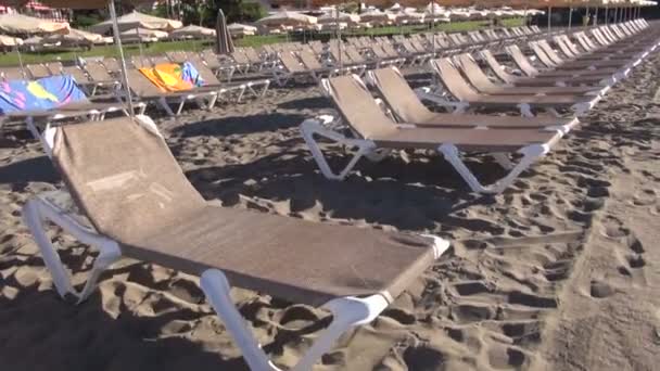 Spiaggia di sabbia con lettini — Video Stock