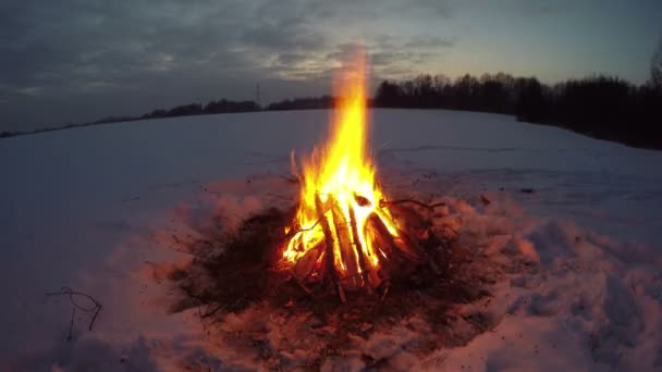 Ognisko, pieczenie w snowy pole w ciemno, upływ czasu 4k — Wideo stockowe