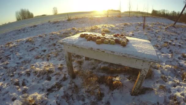 Puesta de sol en el campo, lapso de tiempo 4K — Vídeo de stock