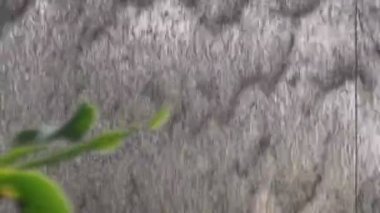 Yeşil bitki ile yapay çelik şelale