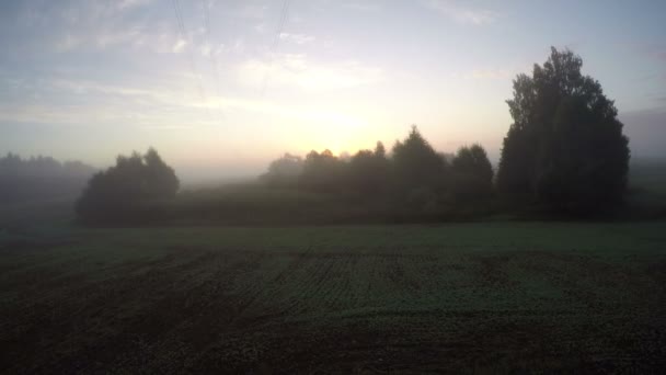 Niebla de la mañana en el campo de cultivo, lapso de tiempo 4K — Vídeos de Stock