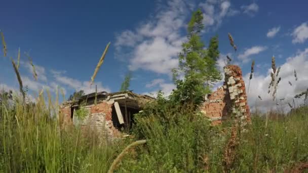 Antiguo edificio de ladrillo desolado en el prado, 4K — Vídeos de Stock