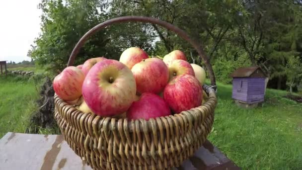 Яблоки в плетеной корзине во дворе, время истекает 4K — стоковое видео