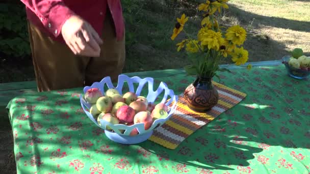 Placer des pommes fraîches mûres dans un bol en plastique placé à l'extérieur dans la cour sur la table, 4K — Video