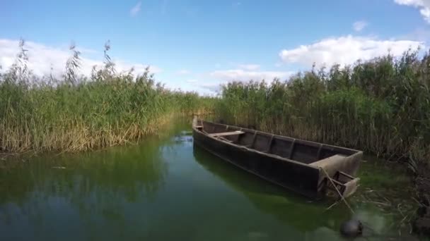 Boat between reeds, time lapse 4K — Stock Video