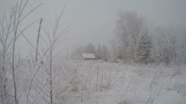 Kar fırtınası sis, zaman atlamalı 4 k sırasında kar ve evlerini hoarfrost kaplı ağaçlar