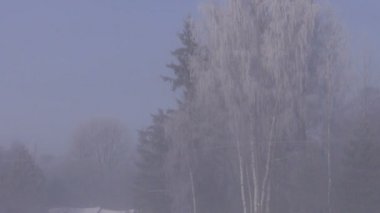 ülke evleri ve kış sis ormanda manzara