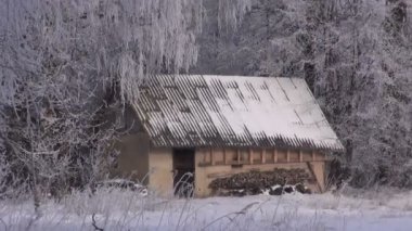 Bir kulübe ve soğuk huş ağaçları manzara