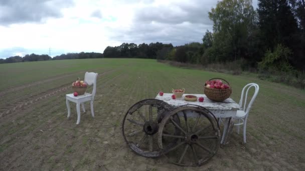 Two white chairs and a table with apples in wicker baskets with two antique wooden wheels in clay soil field by the forest in autumn day, time lapse 4K — Stock Video