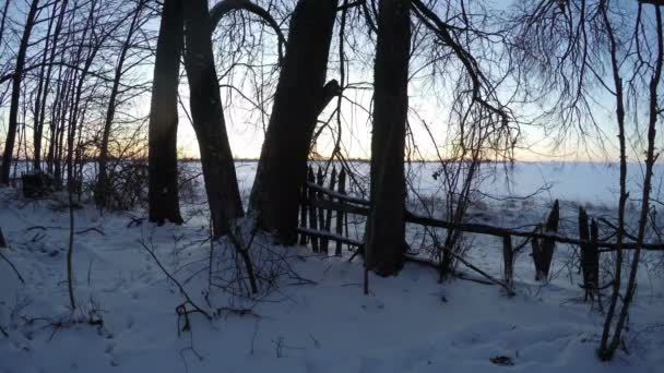 Sunrise door bomen in de winter, time-lapse 4k — Stockvideo