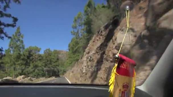 Carretera de montaña con pinos desde la ventana del coche — Vídeo de stock