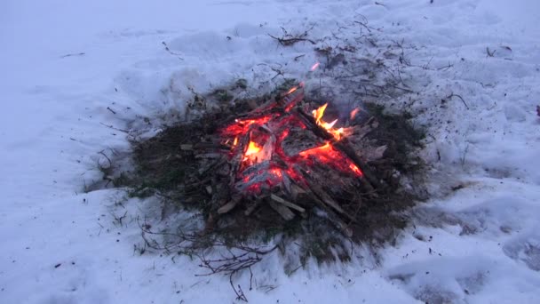 Vreugdevuur branden in de sneeuw — Stockvideo